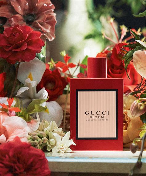 gucci bloom di fiori ambrosia|gucci bloom acqua di fiori.